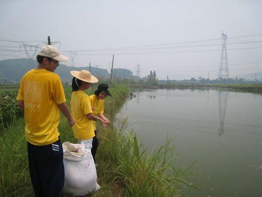 photo_9.jpg