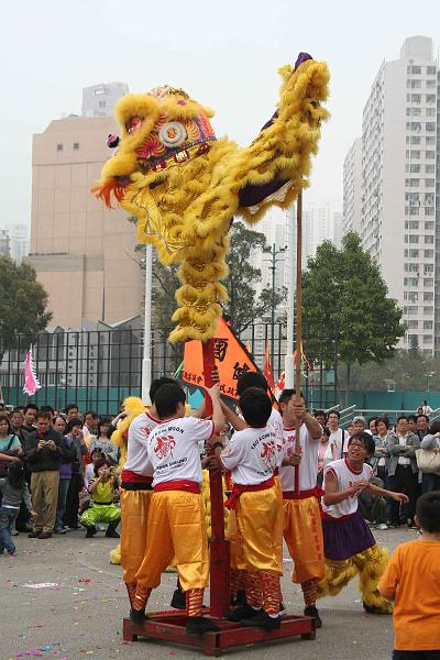 「龍騰獅躍賀新歲」