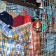 DSC09085