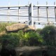 IMG_4791