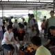 SDC10631