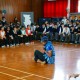 DSC03543