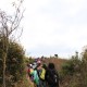 IMG_6293