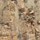 IMG_0004