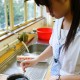 DSC06061
