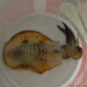 DSCN0094