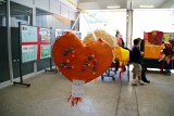 DSC09804.JPG