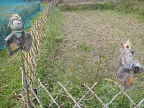 DSCN0233.JPG