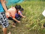 DSCN0282.JPG