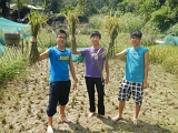 DSCN0310.JPG
