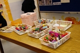 DSC05234.JPG