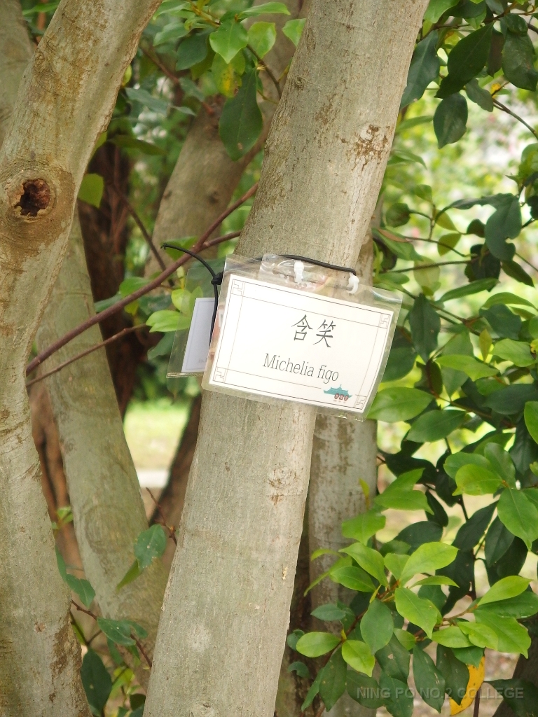 P4200459