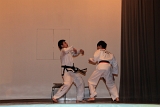 IMG_4246.JPG