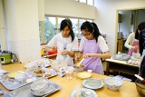 DSC06247.JPG