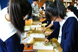 DSC06311.JPG