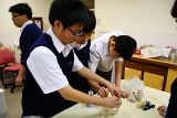 DSC06772.JPG