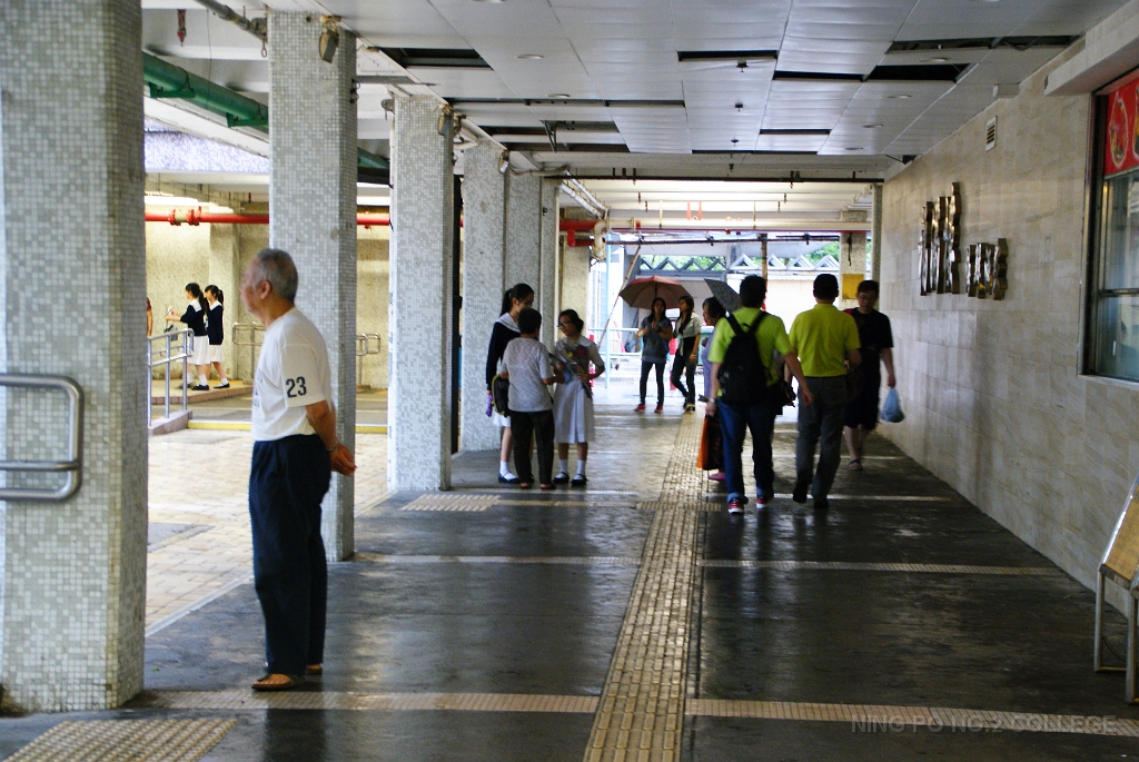 DSC06950