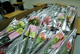 DSC06889.JPG