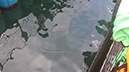 %_tempFileName20140517_143202%