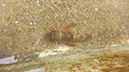 %_tempFileName20140517_144753%