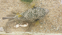 %_tempFileName20140517_144806%