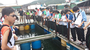 %_tempFileName20140517_150512%