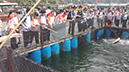 %_tempFileName20140517_152201%