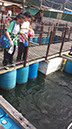 %_tempFileName20140517_153537%