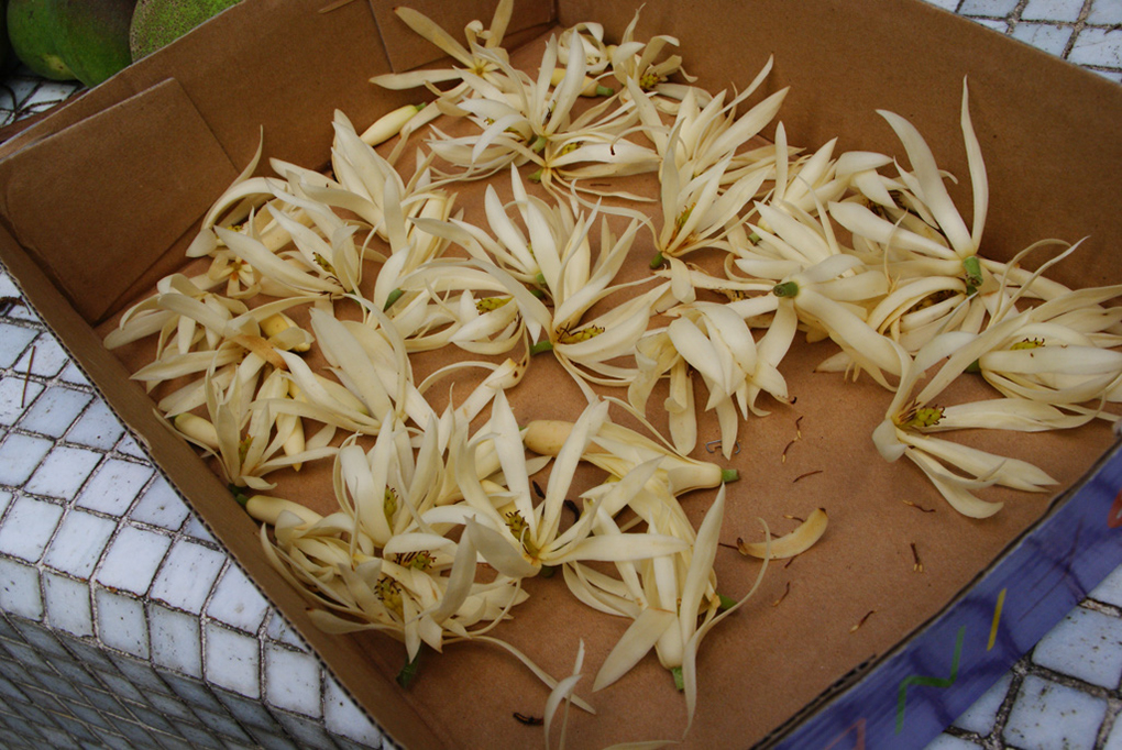 %_tempFileNameDSC01120%