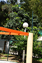%_tempFileNameDSC01068%
