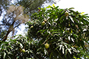 %_tempFileNameDSC01083%