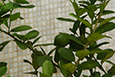 %_tempFileNameDSC01101%