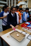 DSC05461.JPG