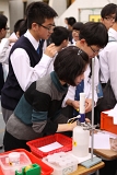 IMG_2897.JPG