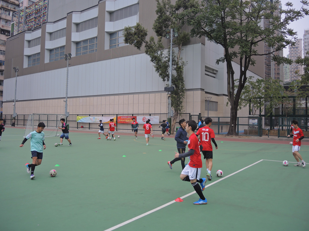 %_tempFileNameDSCN0262%