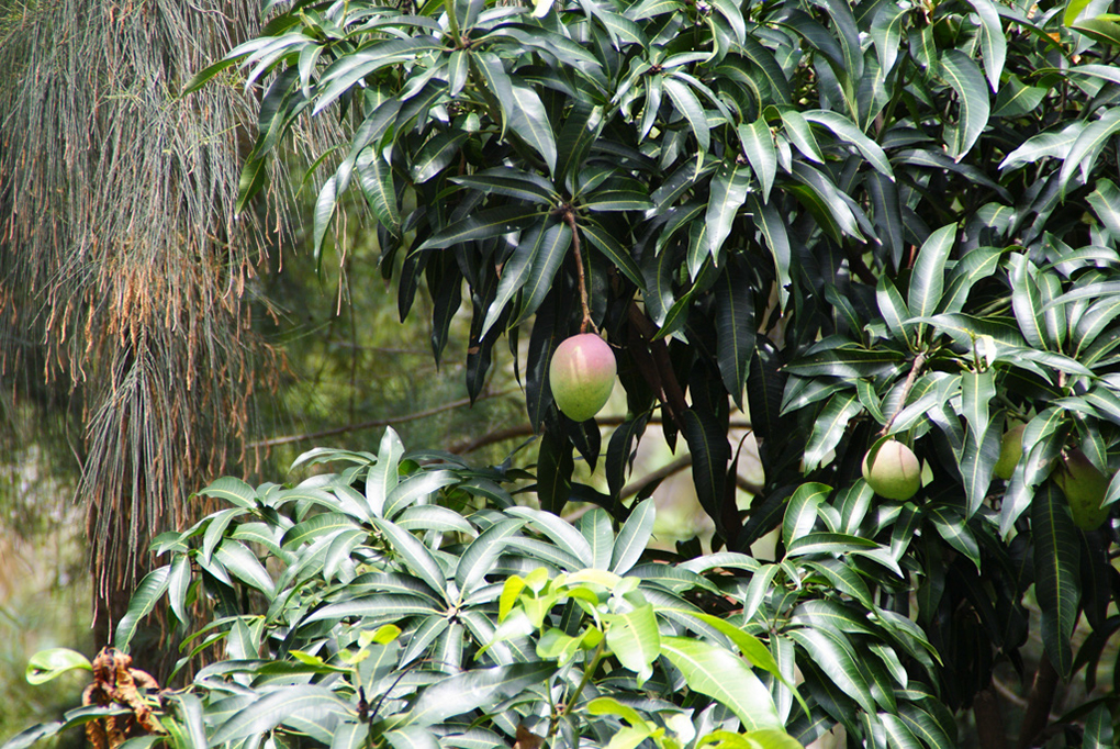 %_tempFileNameDSC01056%