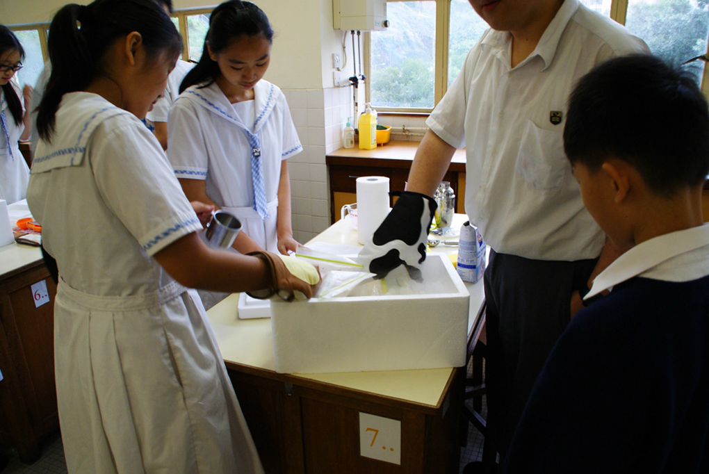 %_tempFileNameDSC01134%