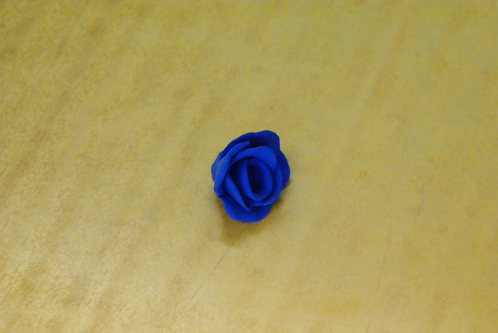 %_tempFileNameDSC01650%